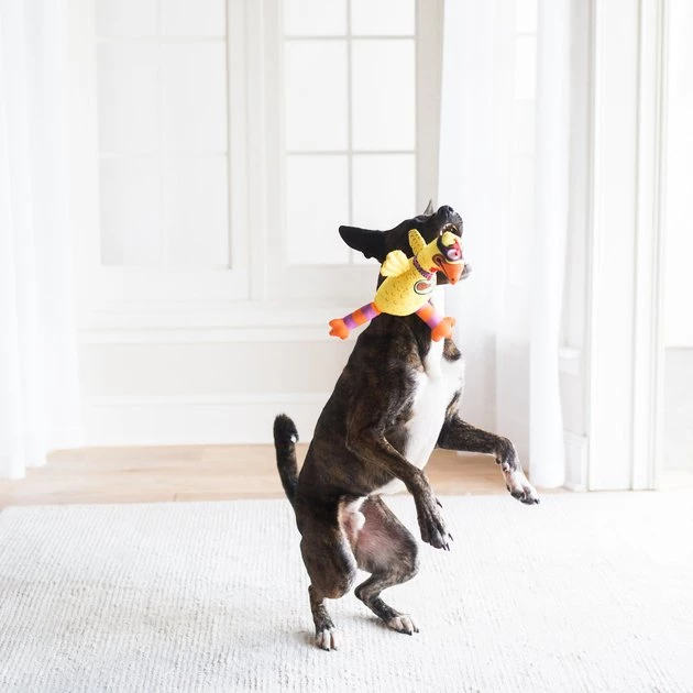 Fat Cat Floppability Barnyard Bullies Squeaky Dog Toy, Suspicious Chicken 4 Fat Cat Floppability Barnyard Bullies Squeaky Dog Toy, Suspicious Chicken - Image 2