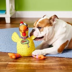 Fat Cat Floppability Barnyard Bullies Squeaky Dog Toy, Suspicious Chicken 9 Fat Cat Floppability Barnyard Bullies Squeaky Dog Toy, Suspicious Chicken -Cheap Petmate Store 84003 PT3. SY630 V1531520557