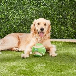 Chuckit! Kick Fetch Max Glow Dog Toy -Cheap Petmate Store 90038 PT5. SY630 V1531548570