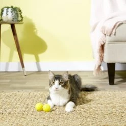 Jackson Galaxy Spiral Galaxy LED Balls Cat Toy -Cheap Petmate Store 99164 PT3. SY630 V1553884325